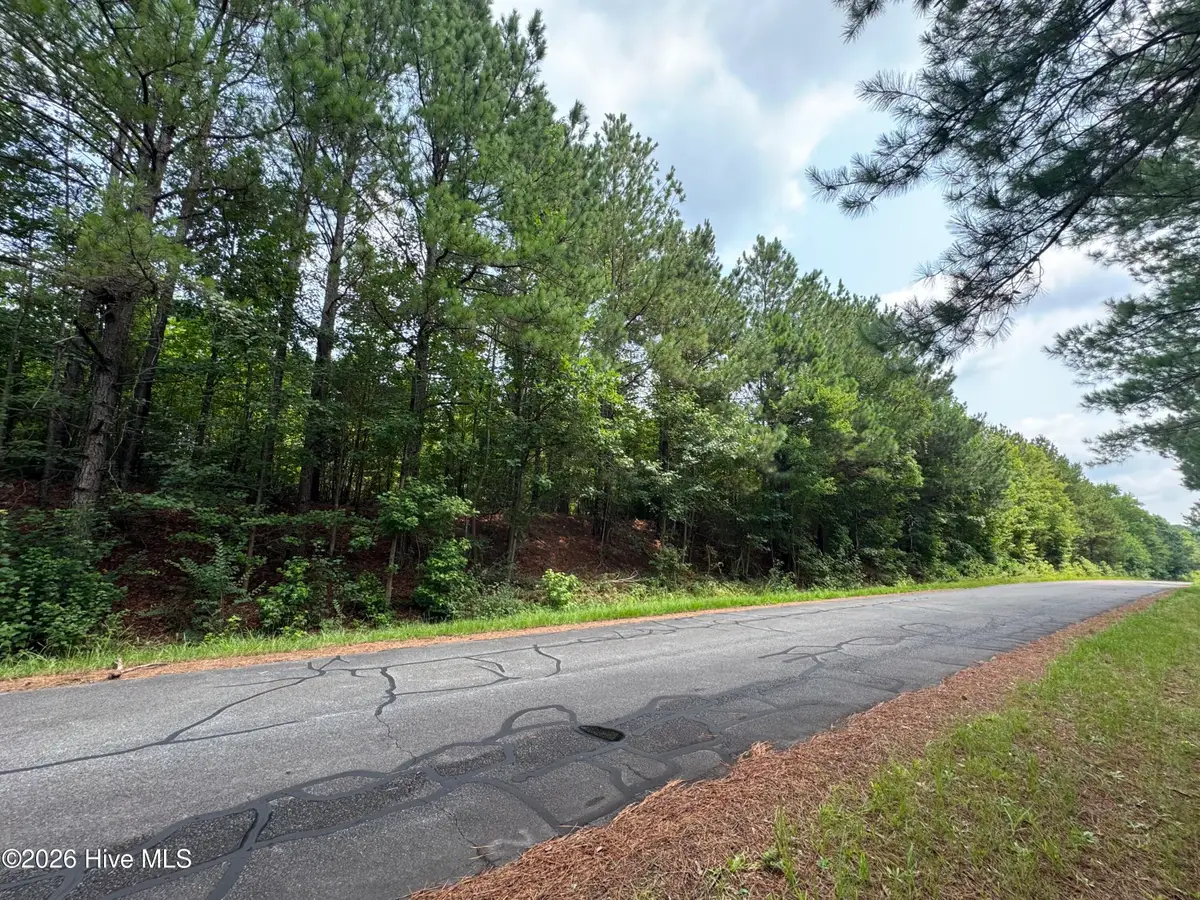 382 Alston Horton Service Road, Pittsboro, NC 27312 - #1