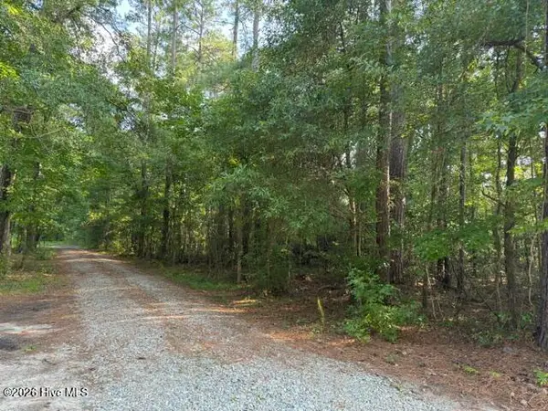 0 E Wilmington Street, Burgaw, NC 28425