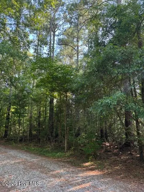 0 E Wilmington Street, Burgaw, NC 28425 - #2