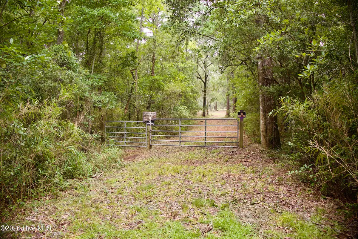 385 Sand Ridge Road, New Bern, NC 28560 - #1