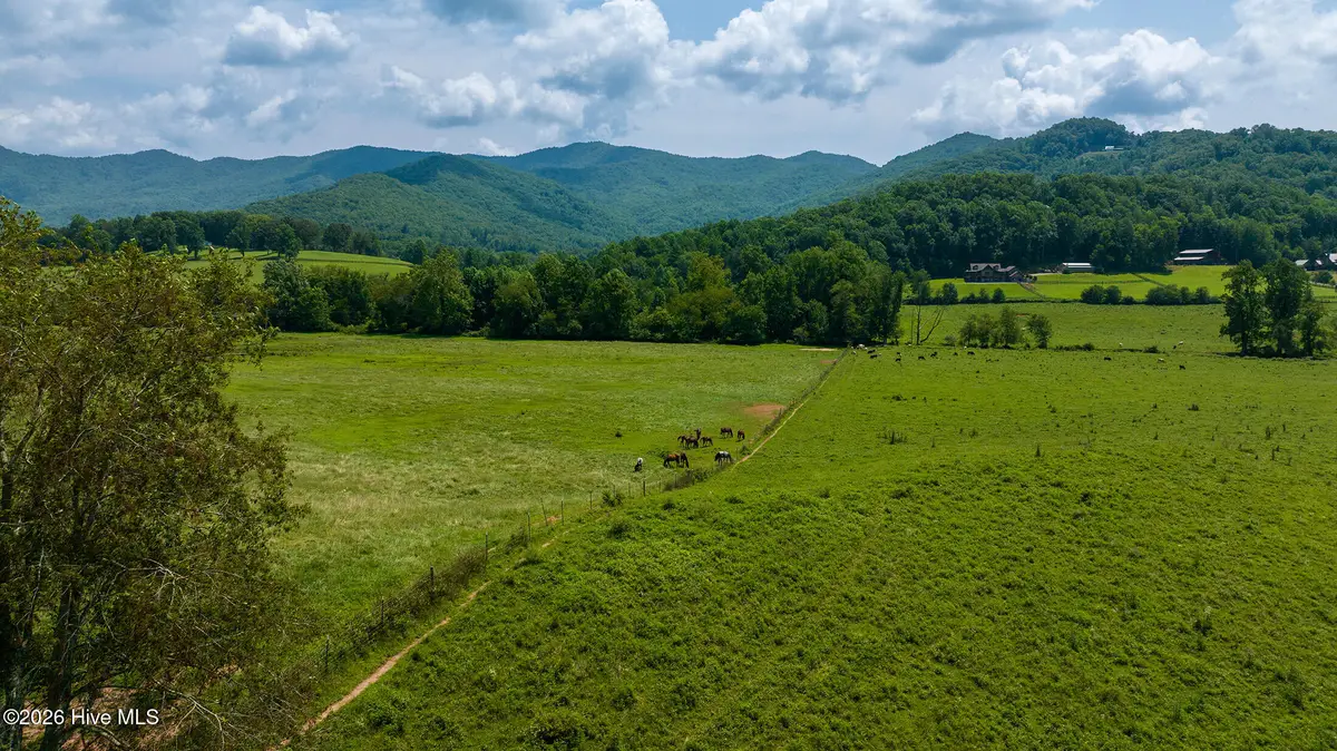 51.20 Ac Bethabara Road, Hayesville, NC 28904 - #1