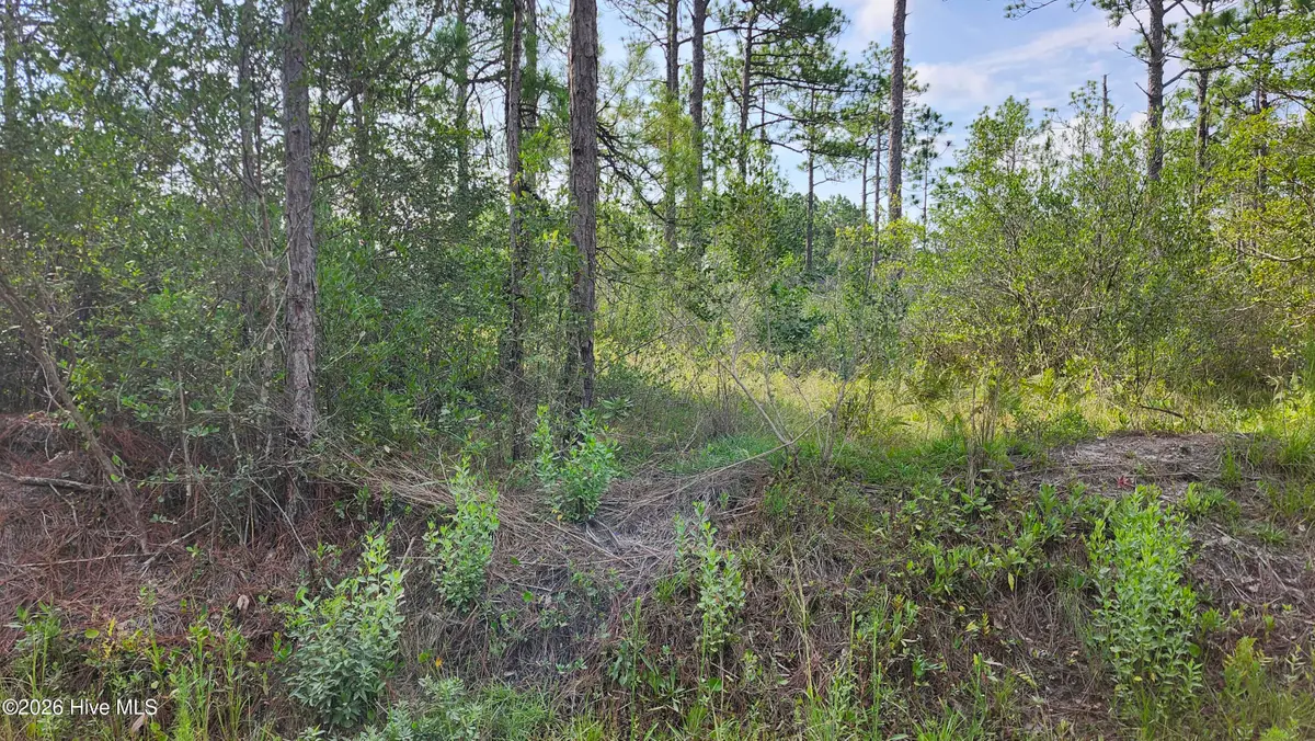Lot 452 Queens Road, Southport, NC 28461 - #1