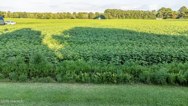 Tbd Whitehat Road, Hertford, NC 27944