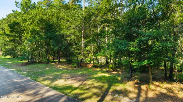 230 River Woods Drive, Wallace, NC 28466