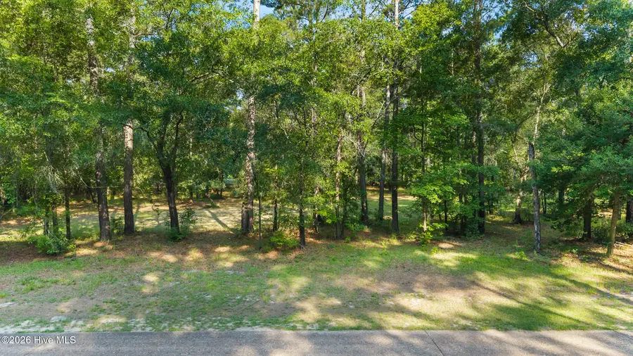 230 River Woods Drive, Wallace, NC 28466 - #2
