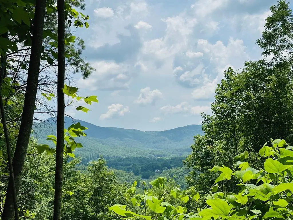 Lot 13 View Ridge Trail, Murphy, NC 28906 - #1