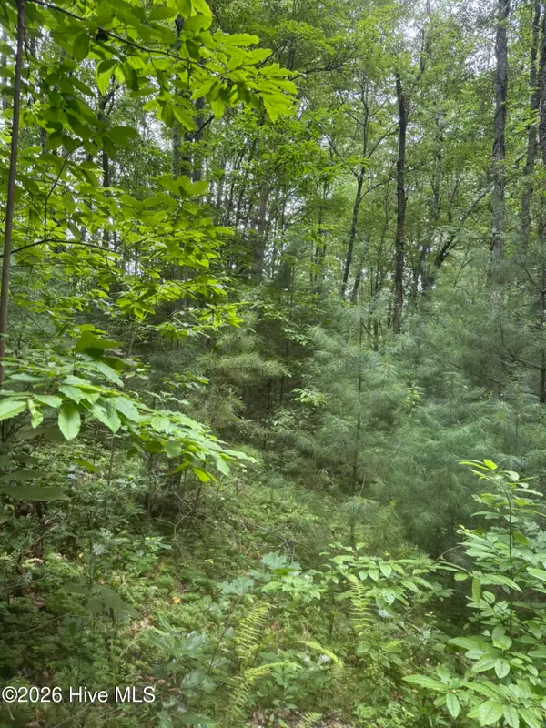 24,25 Camp Creek Estates Drive, Murphy, NC 28906