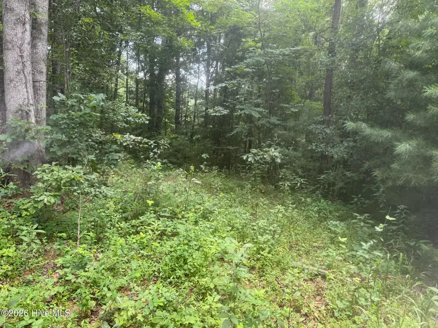24,25 Camp Creek Estates Drive, Murphy, NC 28906 - #2