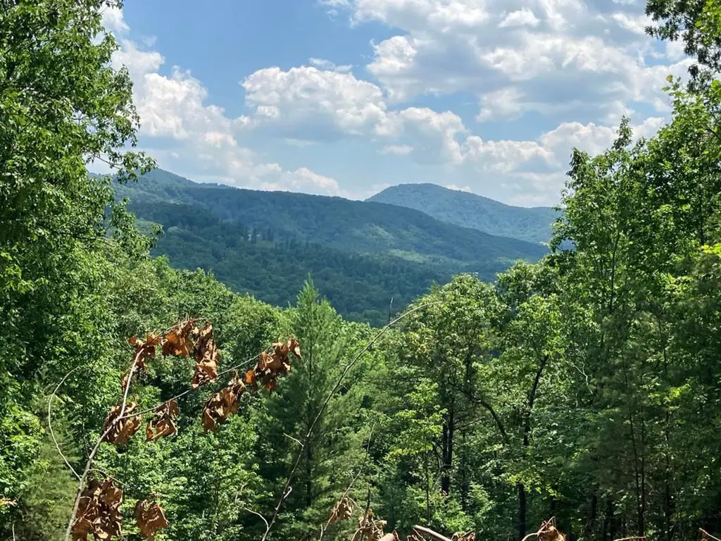 Lot 14 View Ridge Trail, Murphy, NC 28906 - #1