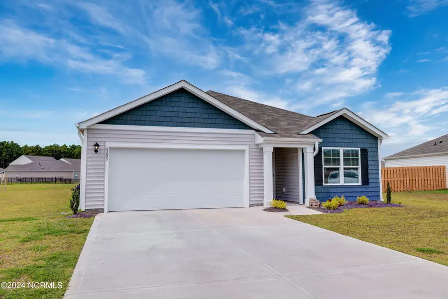 6205 Centipede Place, Castle Hayne, NC 28429 - #3