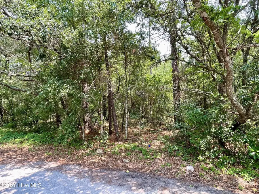 308 Alexander Place, Wilmington, NC 28411 - #2
