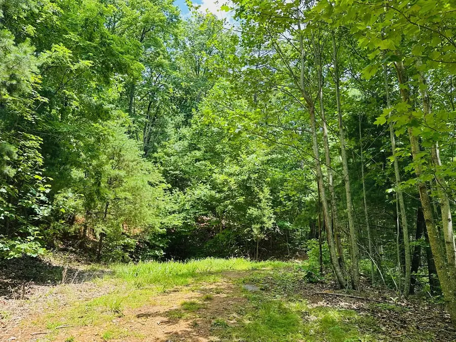 Lot 15 View Ridge Trail, Murphy, NC 28906 - #2