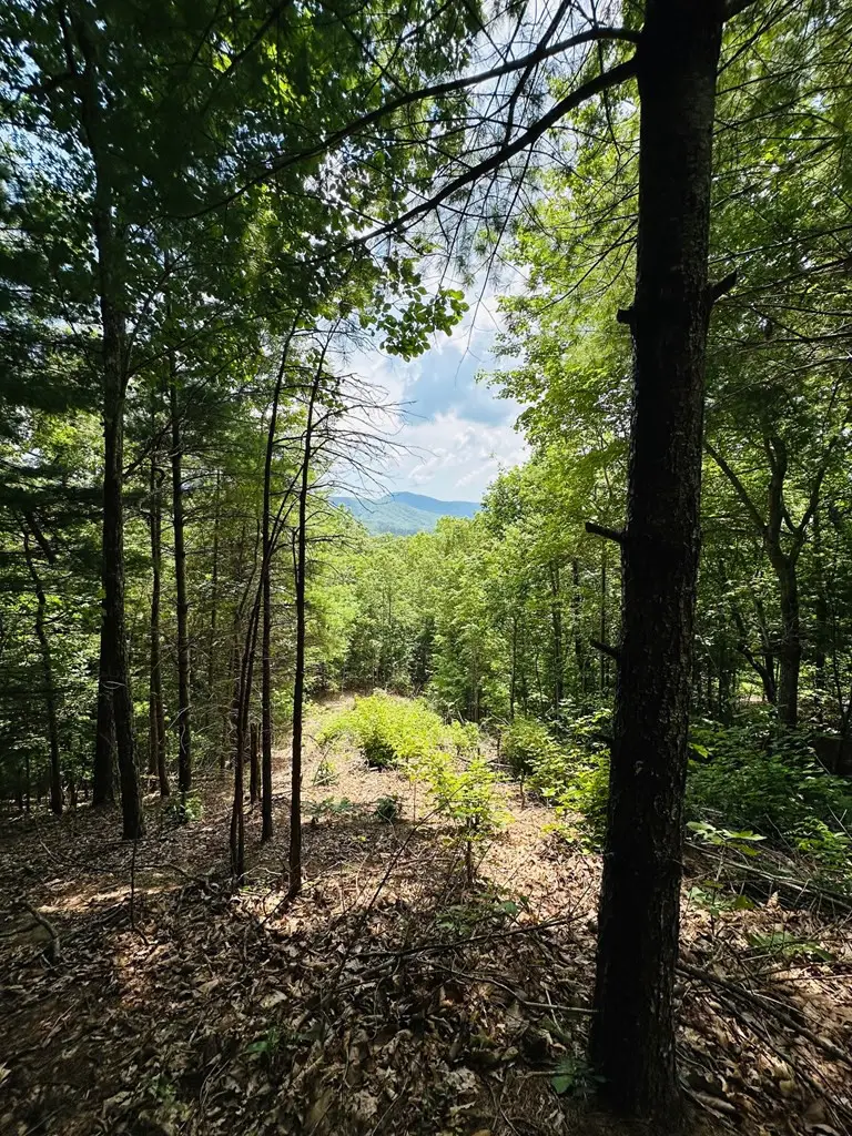 Lot 15 View Ridge Trail, Murphy, NC 28906 - #3