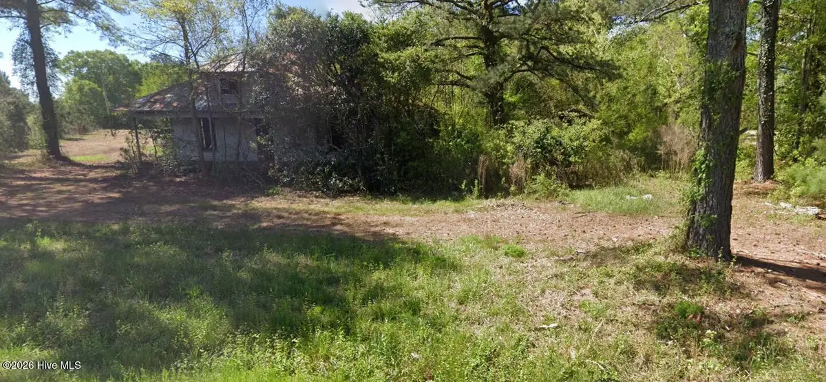 2444 New Hope Road, La Grange, NC 28551 - #1