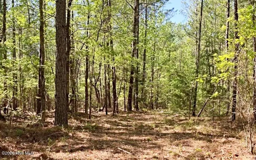 6630 Washington Road, Appling, GA 30802 - #2