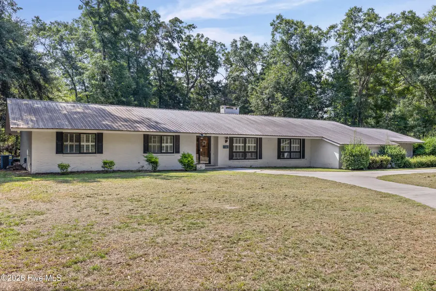 203 Helen Street, Hampton, SC 29924 - #2