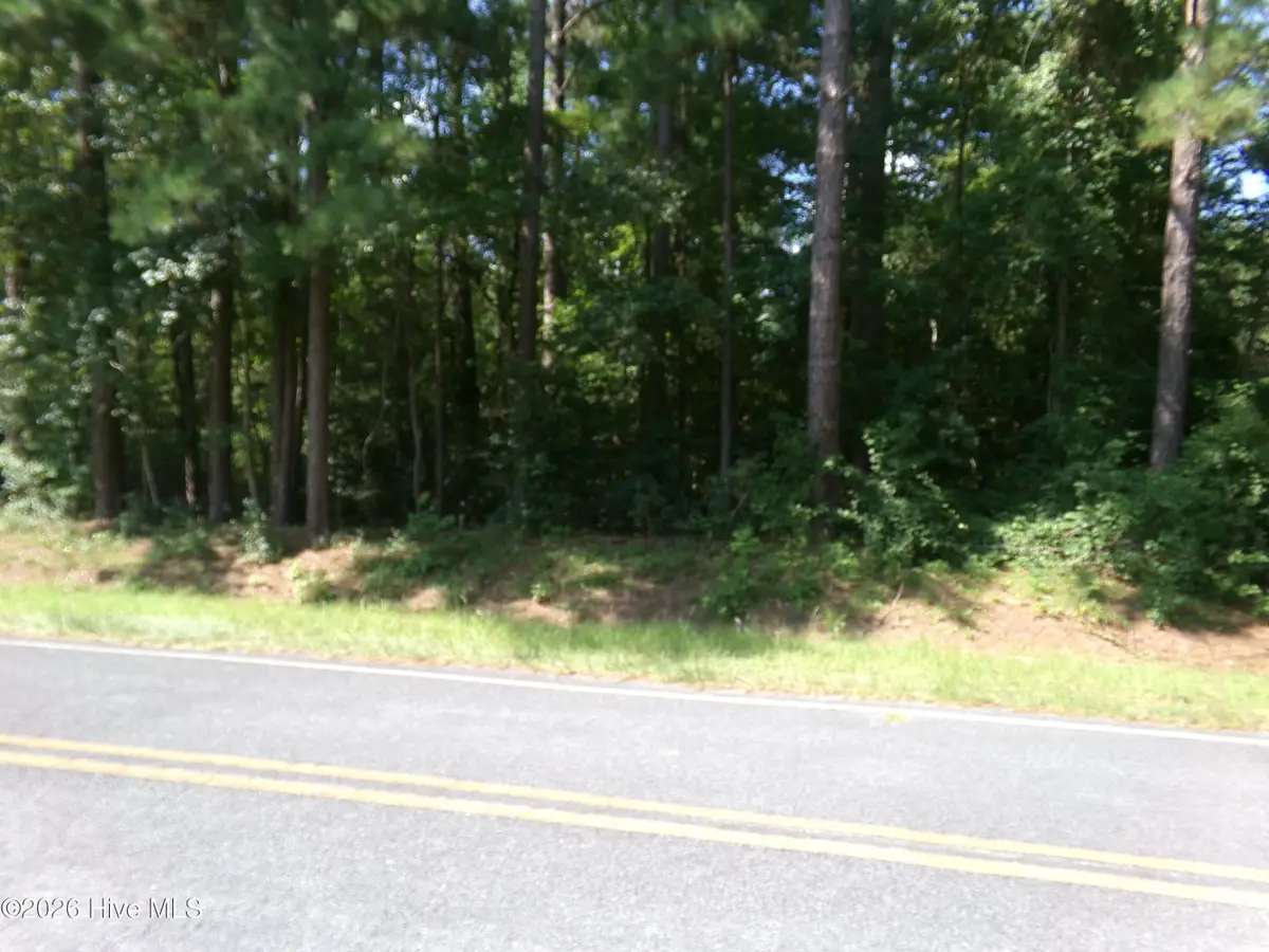 0 1701 State Road, Clarkton, NC 28433 - #1