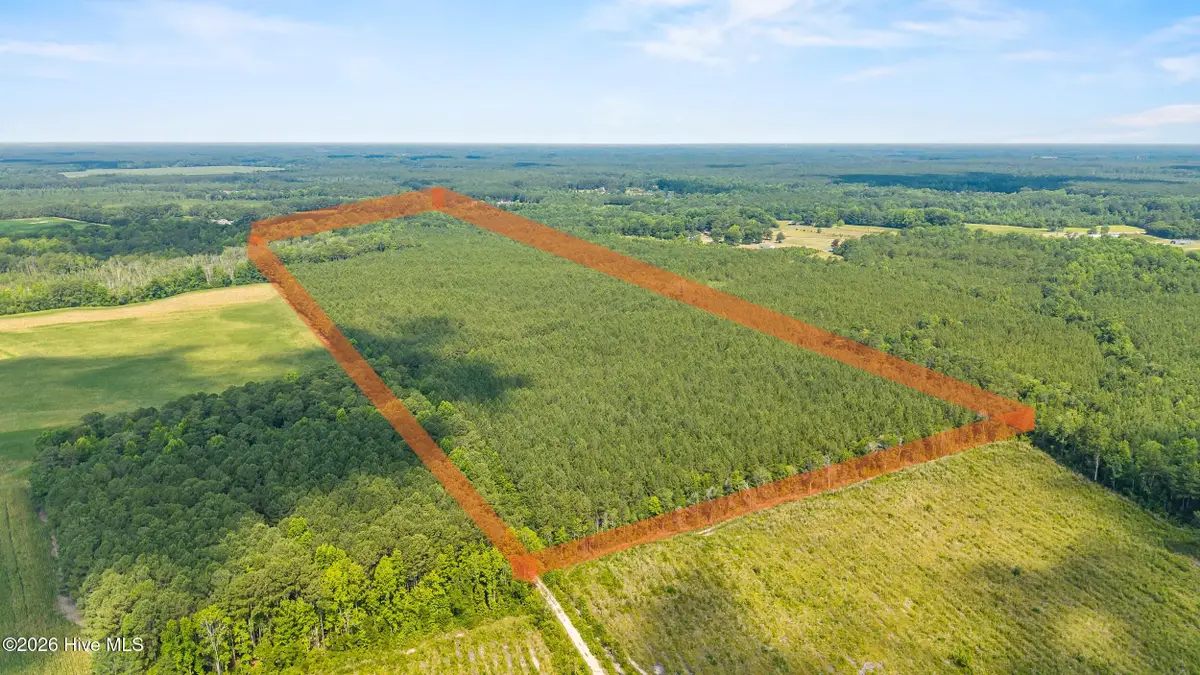 0 Near 8944 Chauncey Town Rd, Lake Waccamaw, NC 28450 - #1