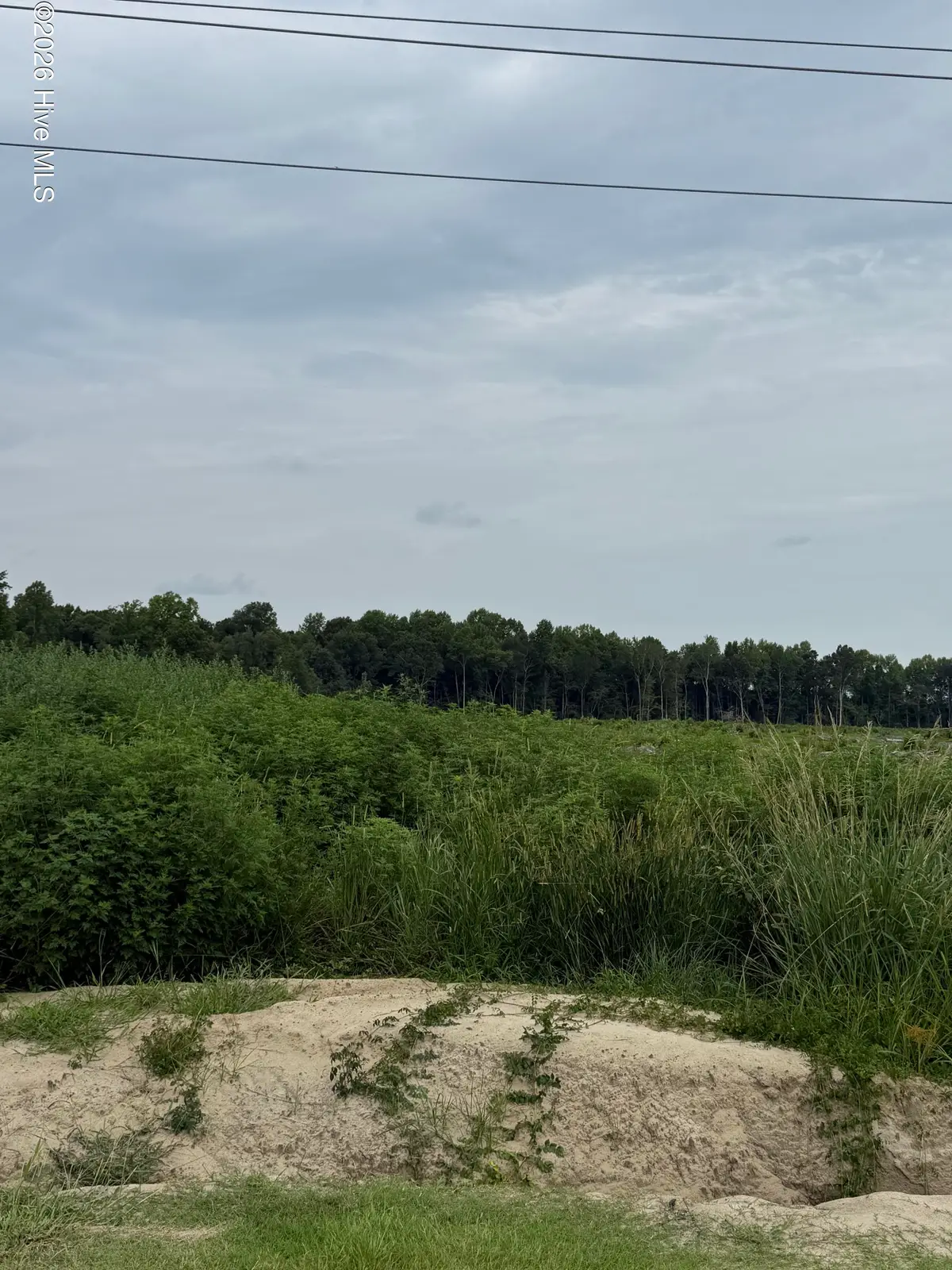 Lot 3 Tbd Haywood Smith Road, Hertford, NC 27944 - #1