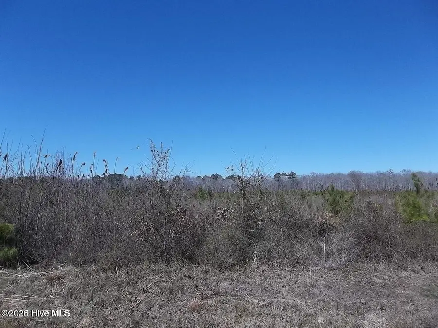 Tbd Boat Ramp Road, Hertford, NC 27944 - #2