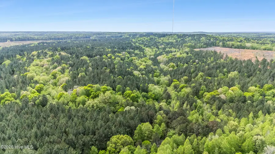 3100 Buckhorn Road, Sanford, NC 27330 - #2