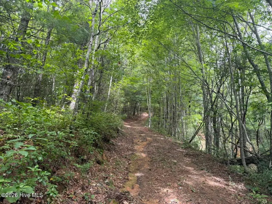 760 Cliff Top Trail, Andrews, NC 28901 - #3