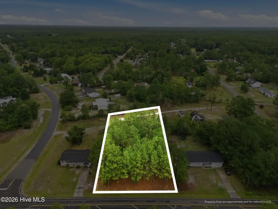 3632 Mt Misery Road Ne, Leland, NC 28451 - #3