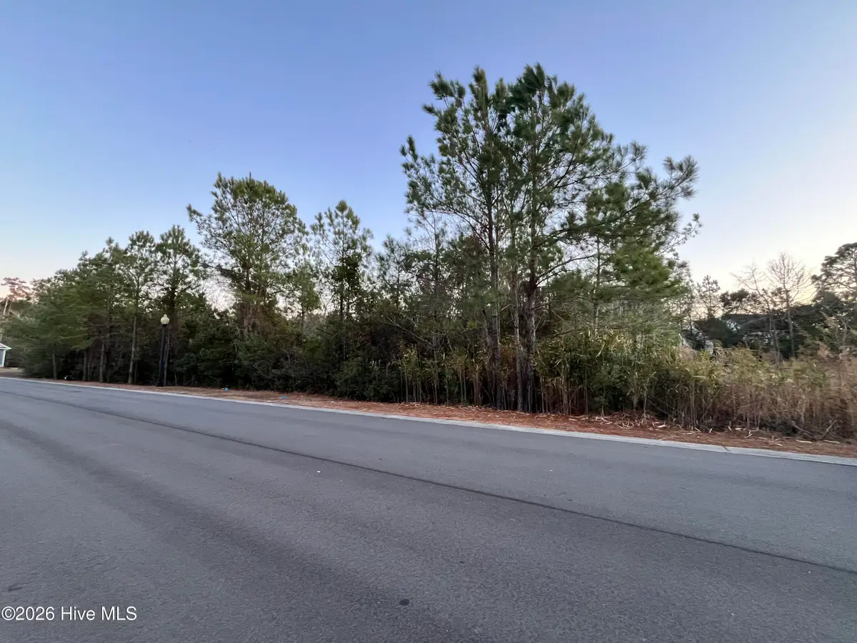 2957 Old Berwick Street Sw, Shallotte, NC 28470 - #1