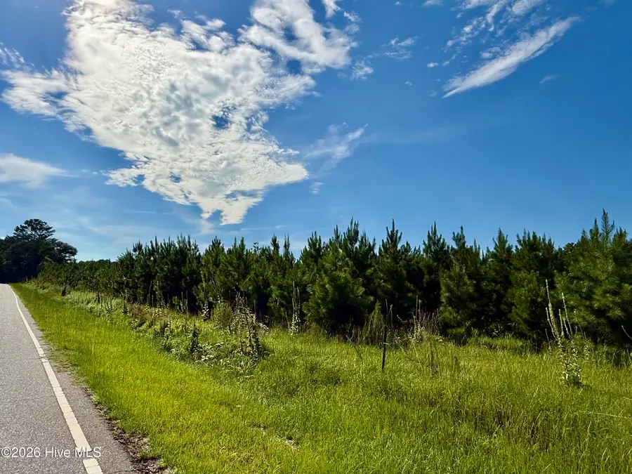 Tbd Roberdel School Road, Rockingham, NC 28379 - #2