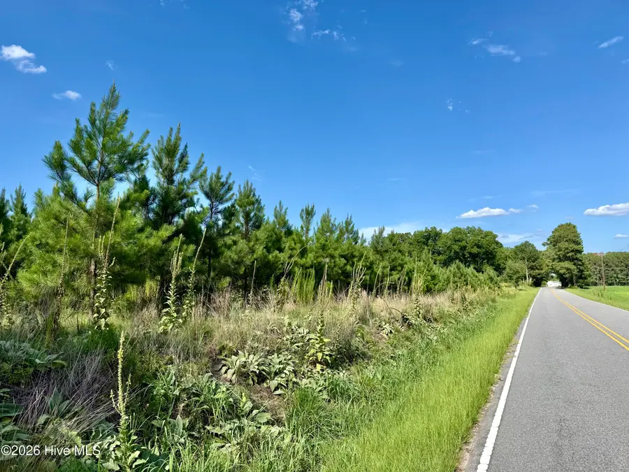 Tbd Roberdel School Road, Rockingham, NC 28379 - #3