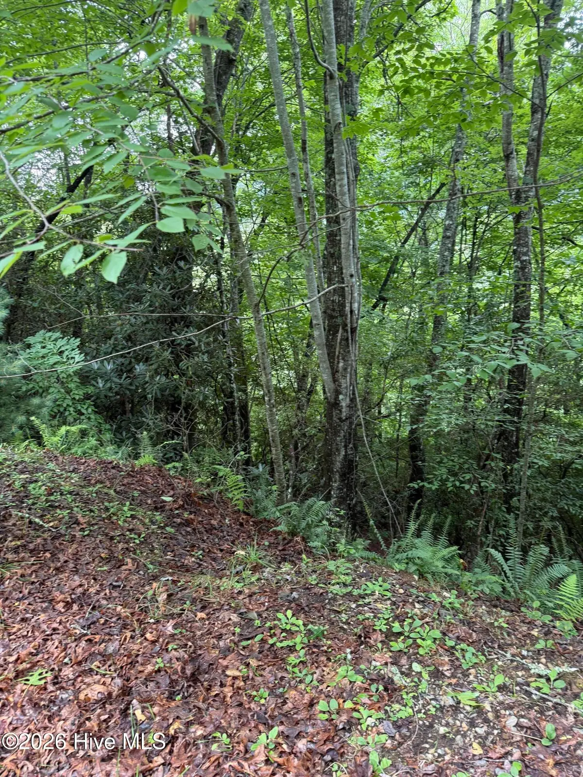 Lot 2 Forest Vista Lane, Topton, NC 28781 - #1