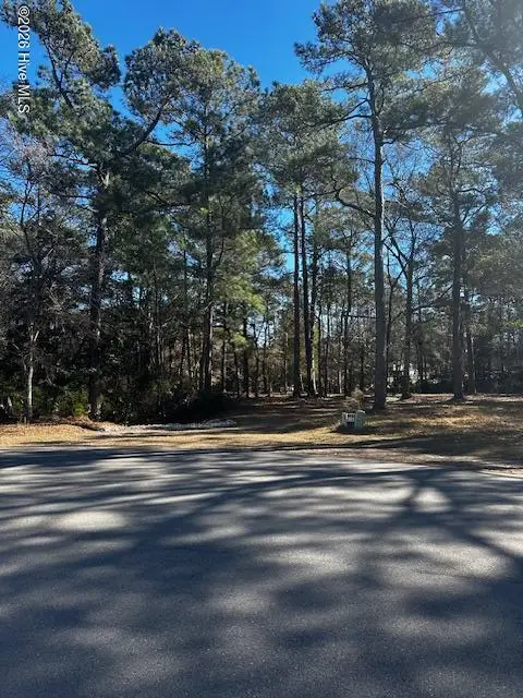 137 Eagle Court Sw, Supply, NC 28462 - #1