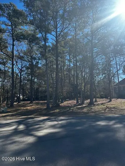 137 Eagle Court Sw, Supply, NC 28462 - #3