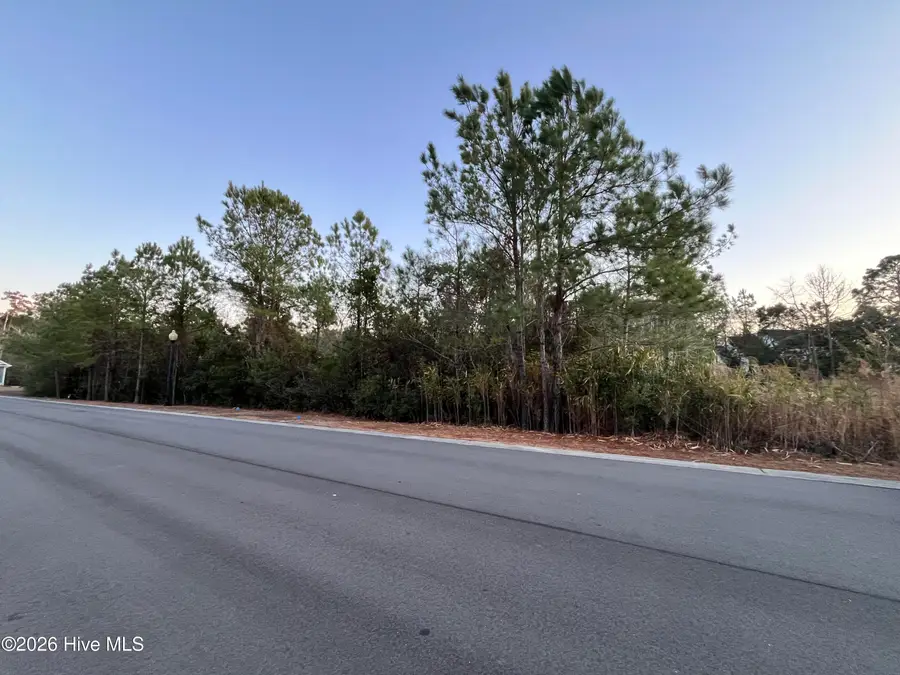2961 Old Berwick Street Sw, Shallotte, NC 28470 - #2