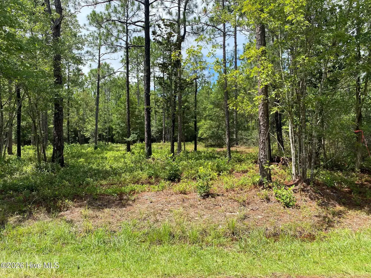 361 Ash Road, Boiling Spring Lakes, NC 28461 - #1