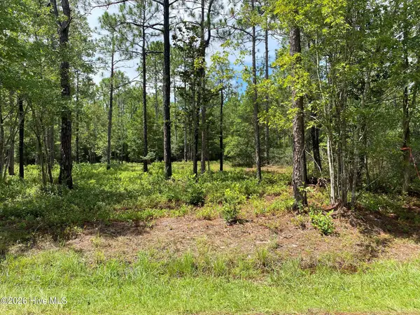 361 Ash Road, Boiling Spring Lakes, NC 28461