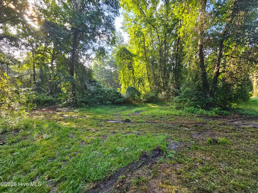81 E Waterway Drive, Belhaven, NC 27810 - #2