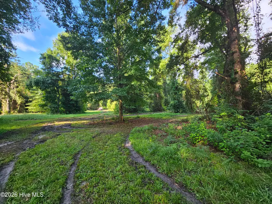 81 E Waterway Drive, Belhaven, NC 27810 - #3