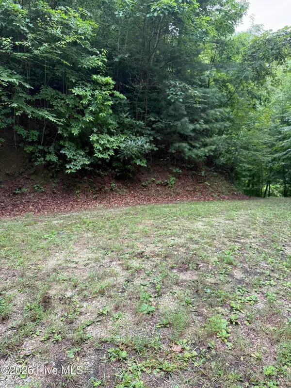 Lot 15 Mountain Vista Lane, Topton, NC 28781