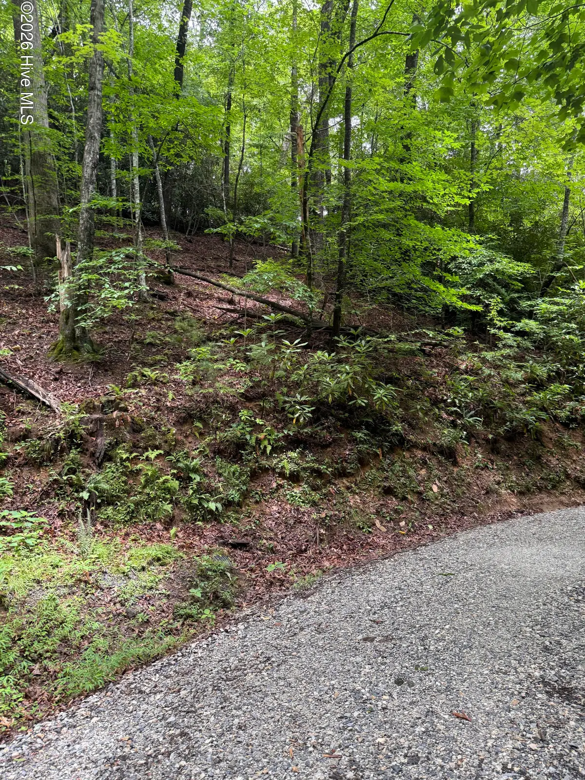 9 Indian Lake Road, Topton, NC 28781 - #1