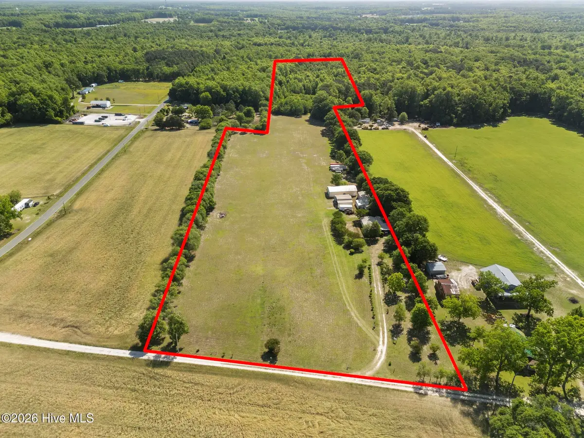 127 Nicodemus Kornegay Lane, Albertson, NC 28508 - #1