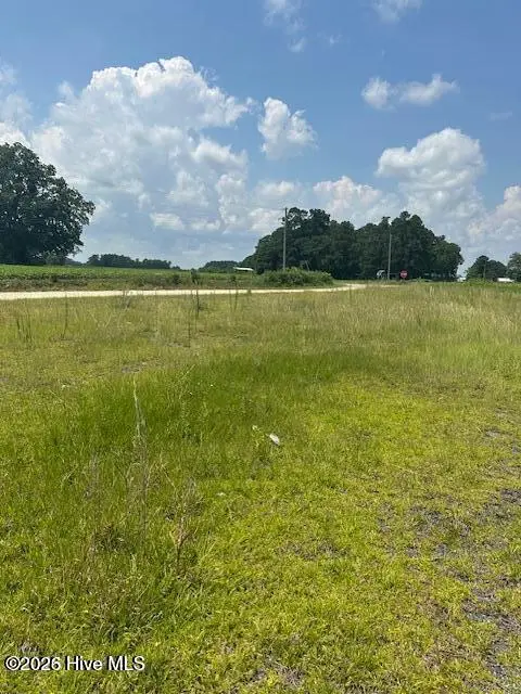 705 Am Godwin Road, Clarendon, NC 28432 - #2