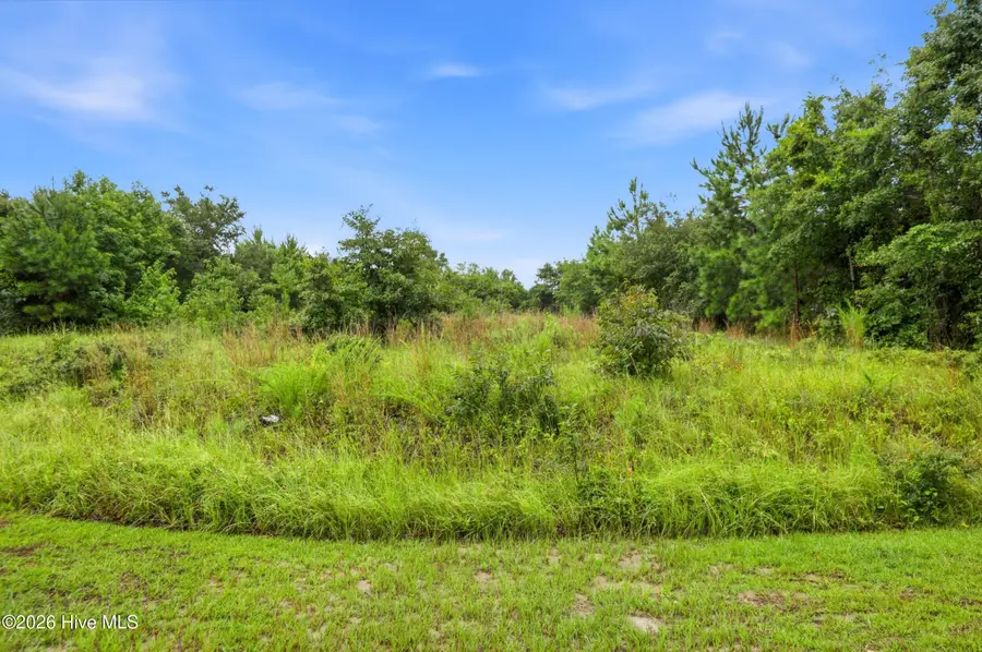 214 Royal Palms Way, Holly Ridge, NC 28445 - #2