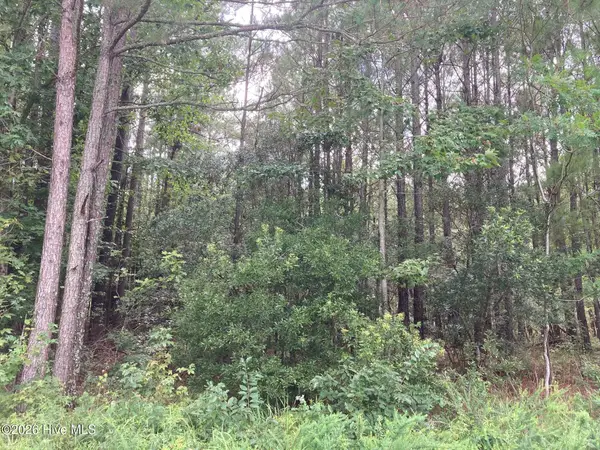 Lot # 33 33 Pine Crest Road, Bath, NC 27808