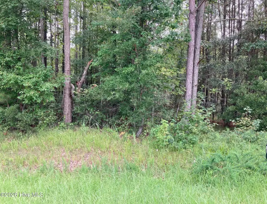 Lot # 33 33 Pine Crest Road, Bath, NC 27808 - #2