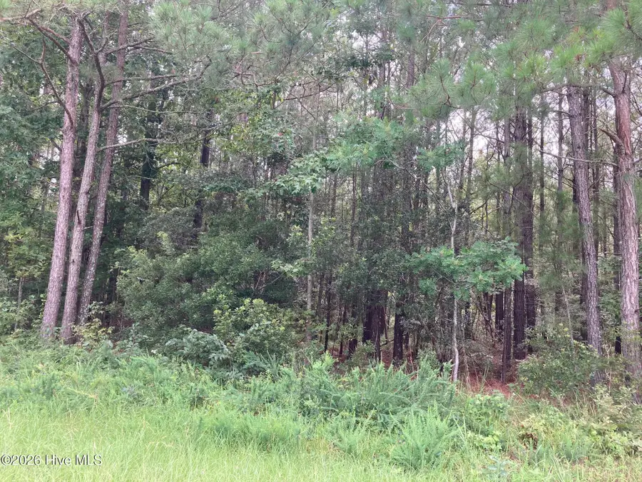 Lot # 33 33 Pine Crest Road, Bath, NC 27808 - #3