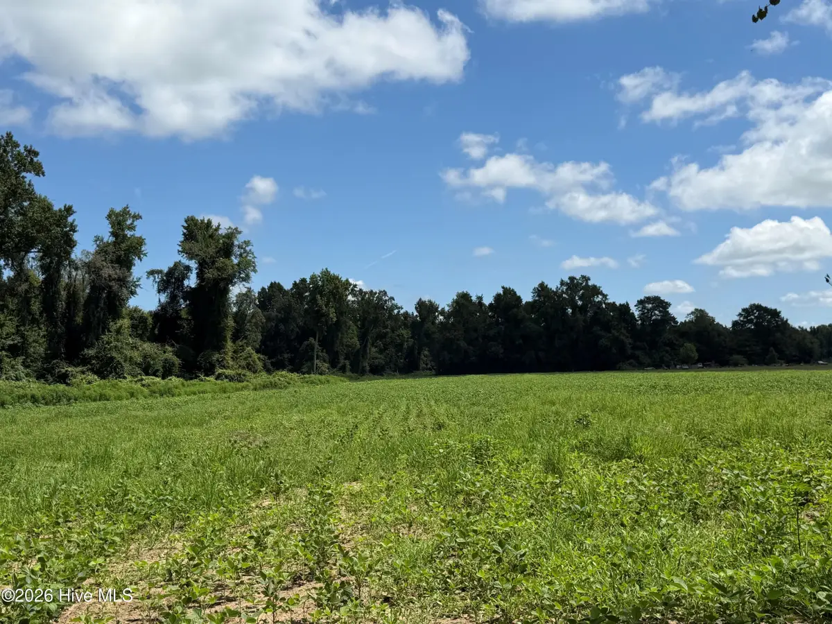 6514 Princess Ann Road, Evergreen, NC 28438 - #1