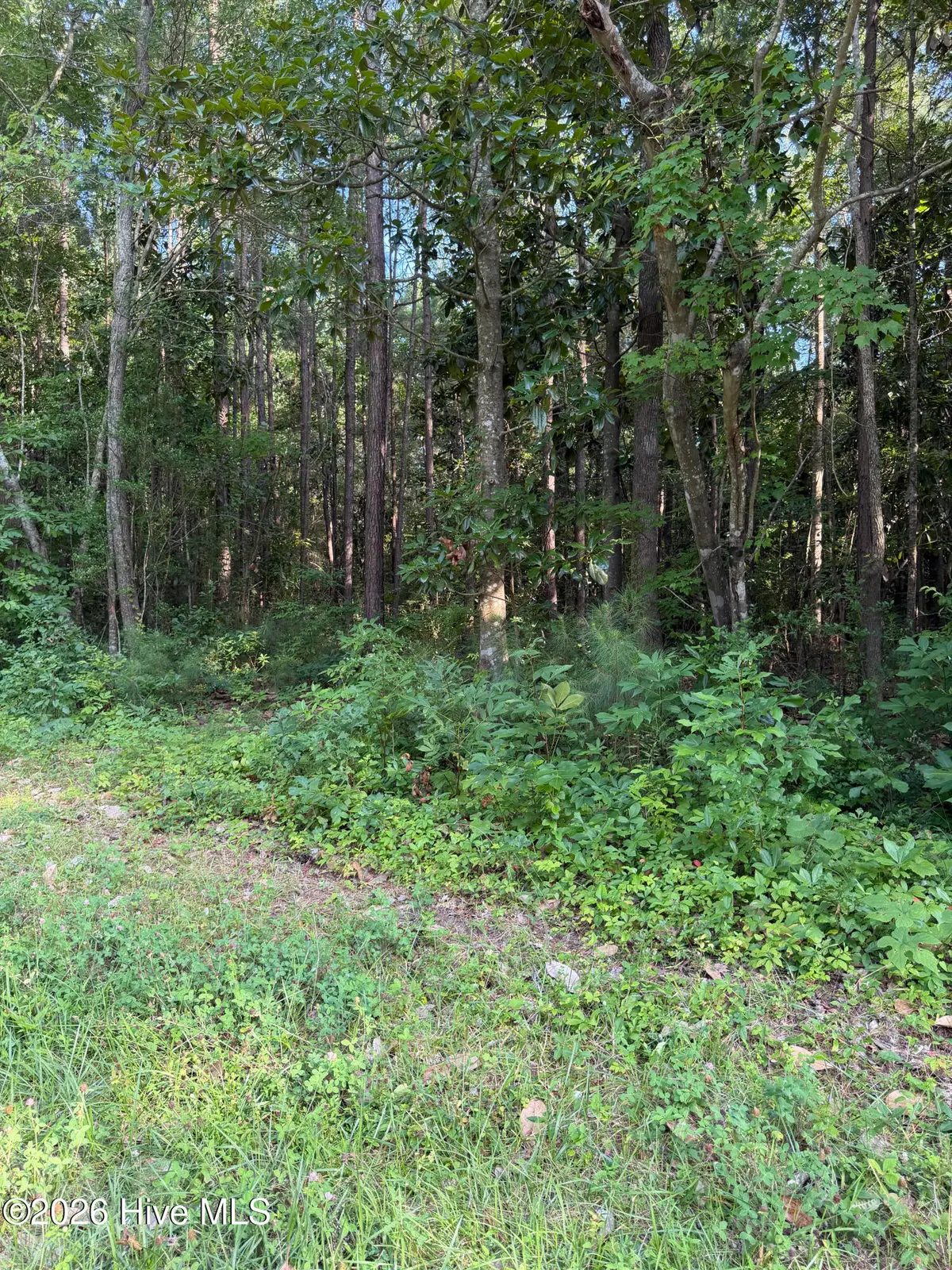 1185 Green Springs Road, New Bern, NC 28560 - #1