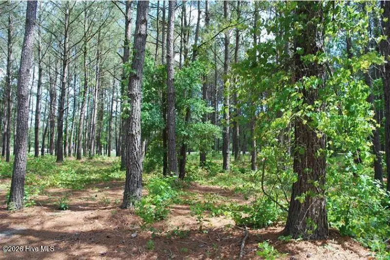 795 Wild Oak Lane Nw, Calabash, NC 28467 - #1