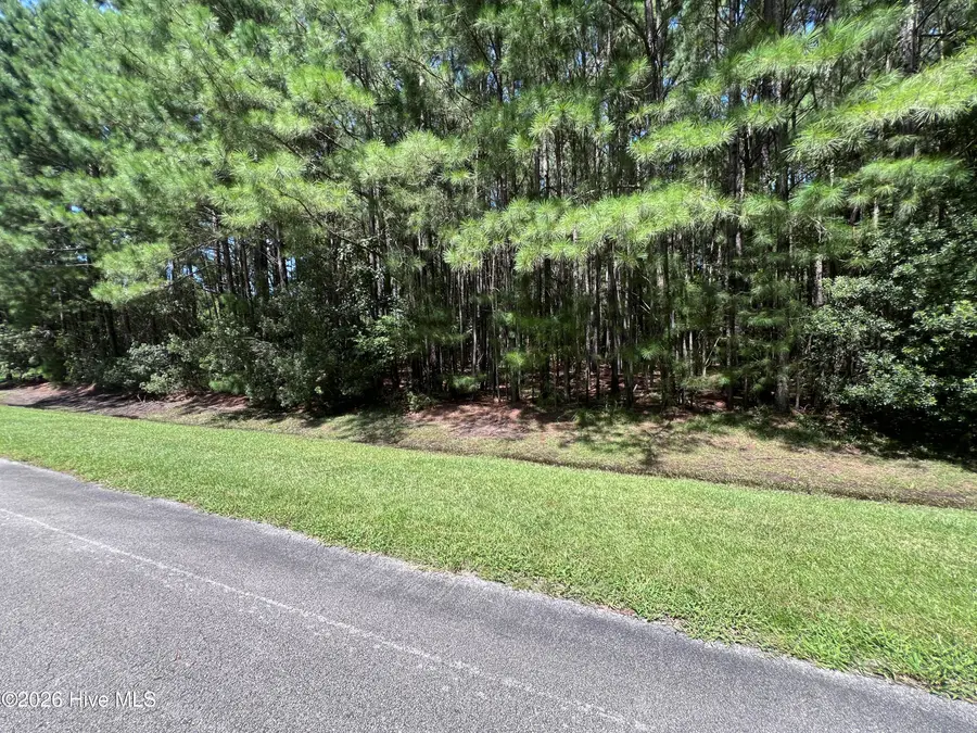 Lot#43,43a Windy Point, Belhaven, NC 27810 - #2